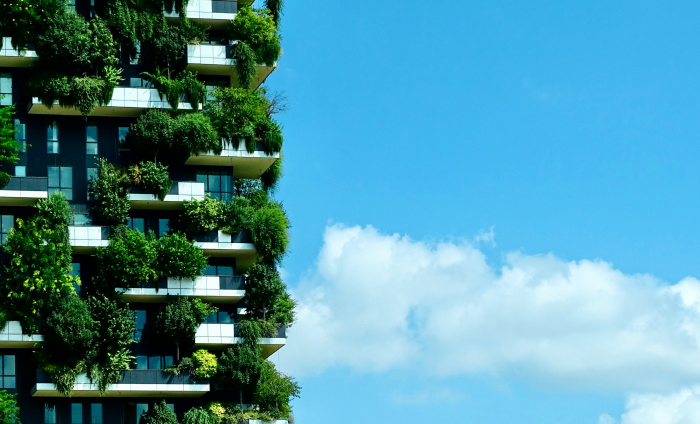 A building with greenery